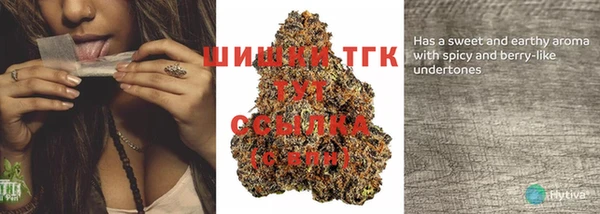 крисы Балахна